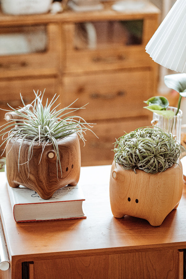 Wooden Desktop Storage Container